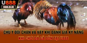 Đá Gà Đòn Tại U888 - Cuộc Đối Đầu Bản Lĩnh Và Chiến Thuật